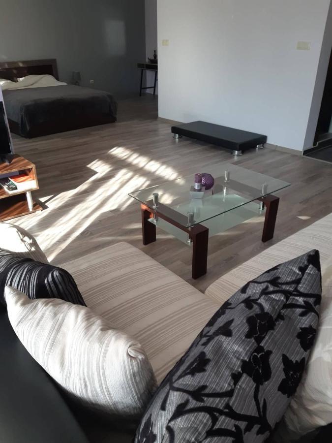 ホテル Art House プロヴディフ エクステリア 写真
